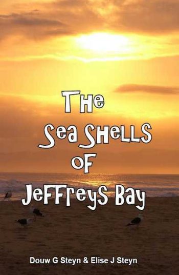 The Sea Shells of Jeffreys Bay